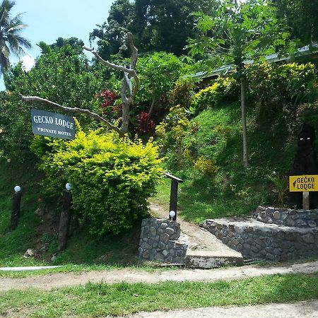 Gecko Lodge Fiji Savusavu Εξωτερικό φωτογραφία