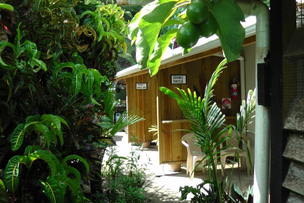 Gecko Lodge Fiji Savusavu Εξωτερικό φωτογραφία