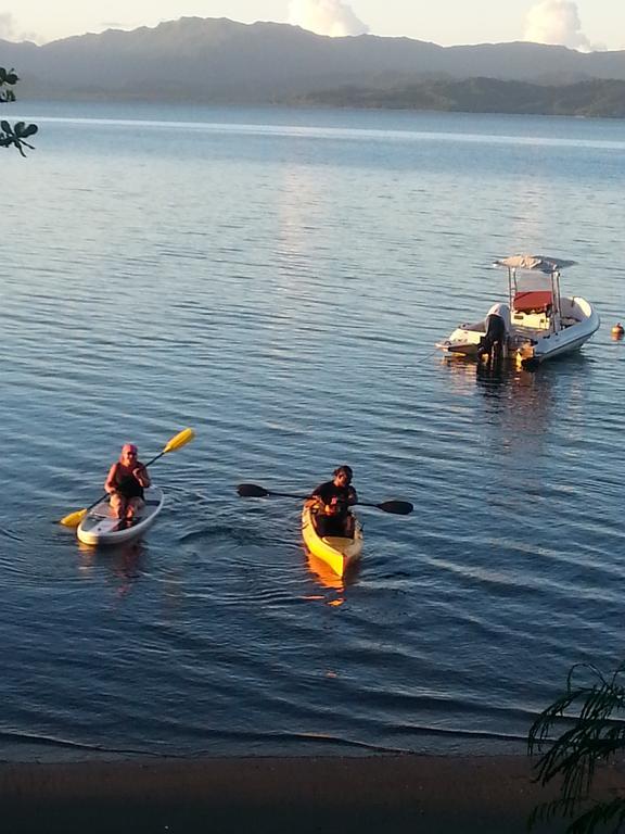 Gecko Lodge Fiji Savusavu Εξωτερικό φωτογραφία