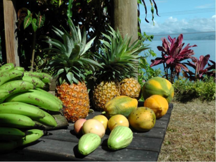 Gecko Lodge Fiji Savusavu Εξωτερικό φωτογραφία