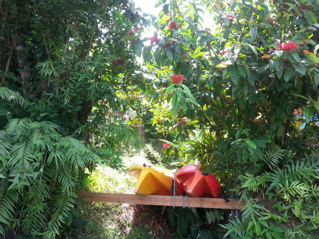 Gecko Lodge Fiji Savusavu Εξωτερικό φωτογραφία