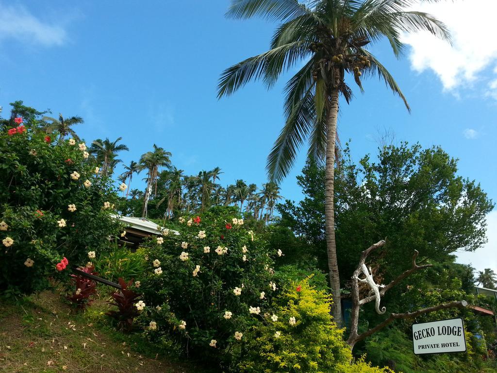 Gecko Lodge Fiji Savusavu Εξωτερικό φωτογραφία